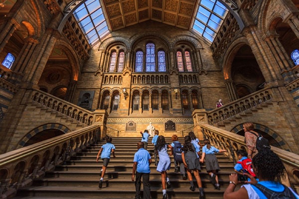 natural history museum