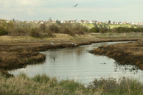 Two Tree Island nature reserve