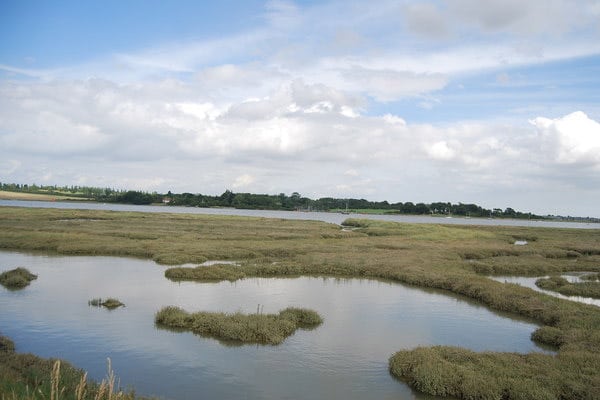 Essex marshes near Hadleigh Castle