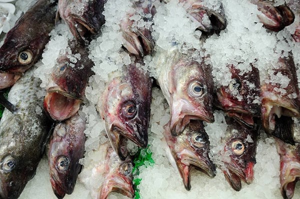 billingsgate fish market london