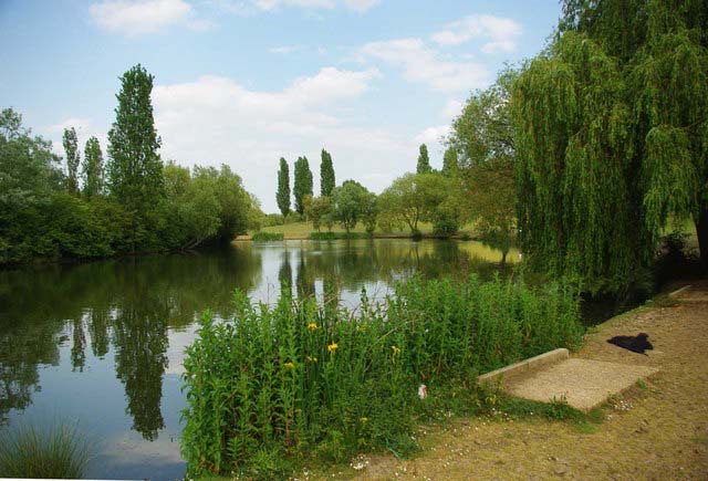 gloucester park basildon