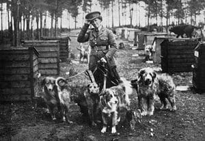 Mrs Richardson And Her Dog Pupils, Ww1