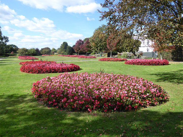 Chalkwell Park Flower Beds