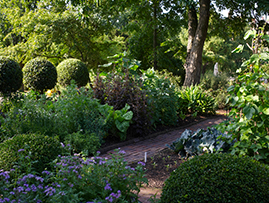 chelsea-physic-garden-featured-476.jpg