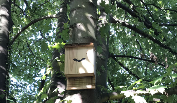 Bat Box