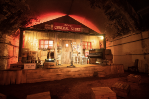 one night records the general store