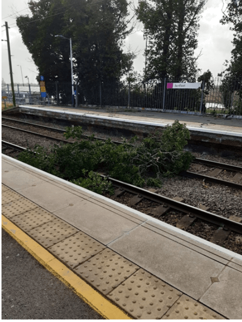 Tree on the tracks at Benfleet