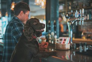 Dog With Owner at pub