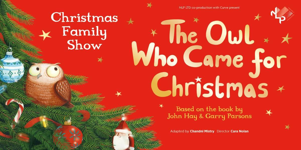 671f8061dda89 671f8061dda8bthe Owl Who Came For Christmas.jpg