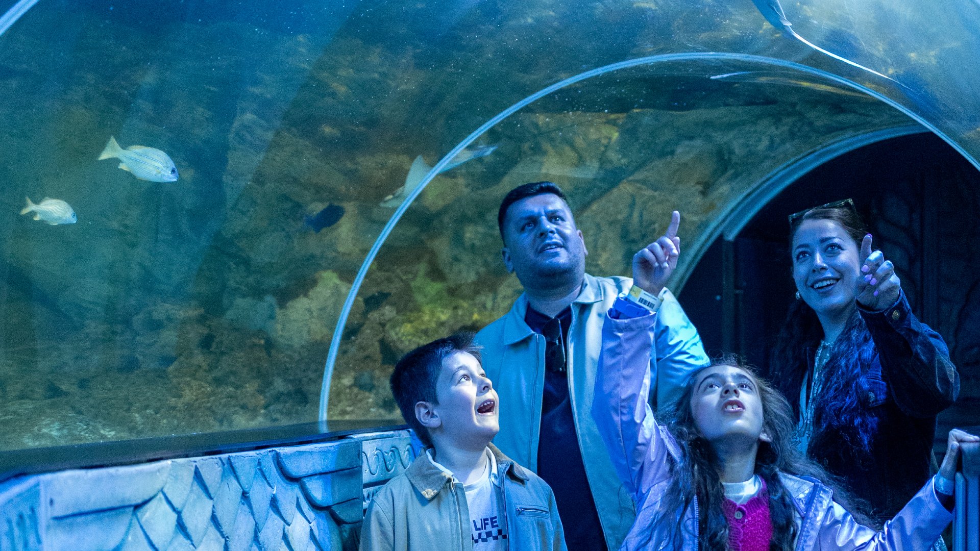  69b2e2dded7d8 69b2e2dded7d9sealife Adventure Header.jpg